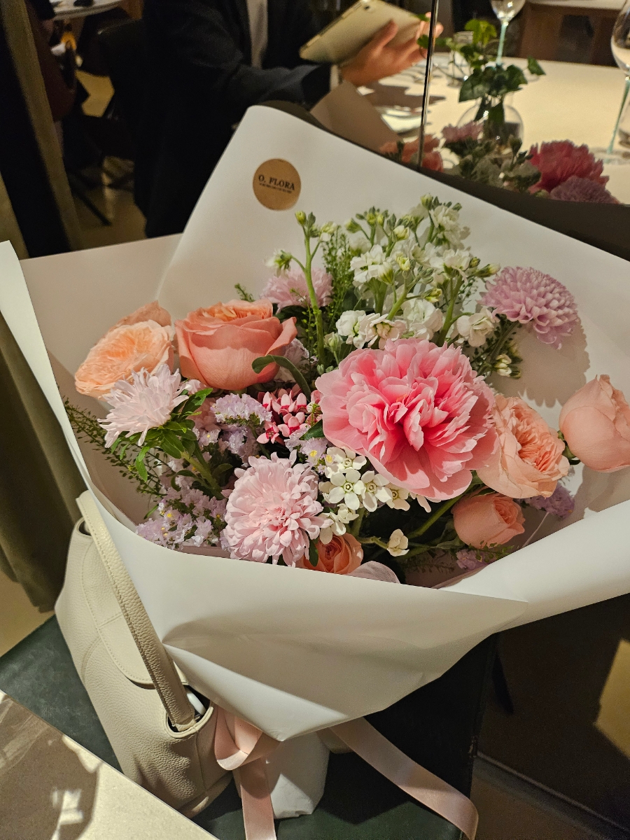 알레즈 사진 4