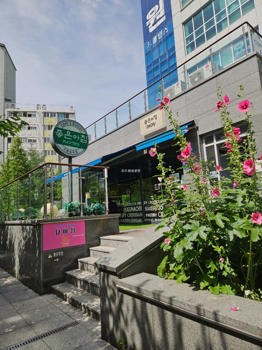 좋은아침페스츄리 능곡점 사진 4