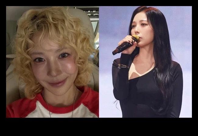 보아 40세 근황, 금발 뽀글펌 속 투영된 아티스트의 자유로운 변주