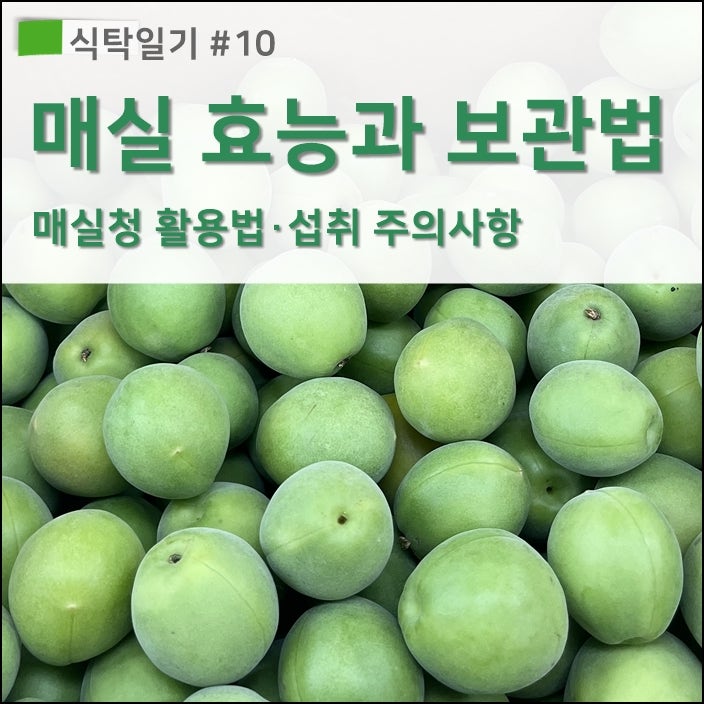 [매실 효능] 주요 성분과 매실청 원액 활용법, 보관법 및 섭취 주의사항, 매실액기스 (식탁일....