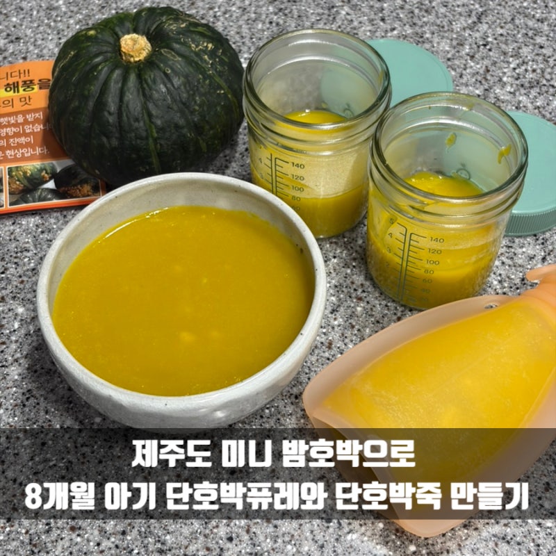 제주도 미니 밤호박으로 8개월 아기 단호박퓨레와 엄마간식 단호박죽 만들기