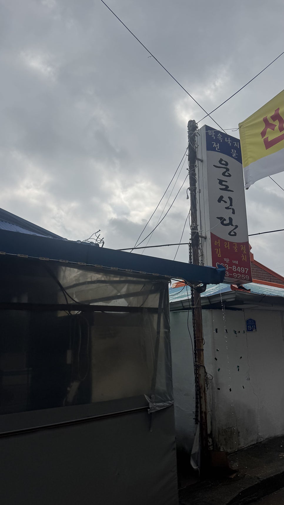 웅도낙지 사진 1