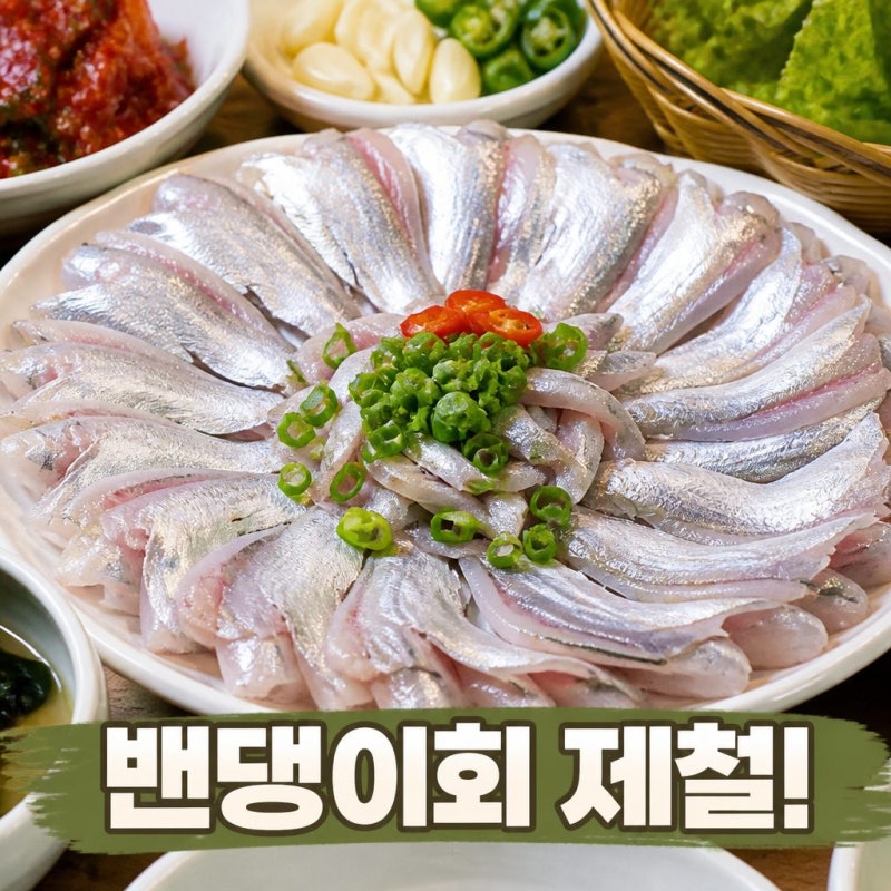 밴댕이회 제철 맞았다 입소문 타는 이유는?
