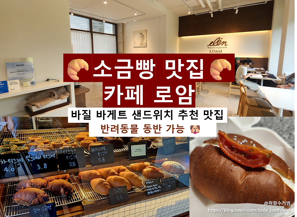 로암 사진 2