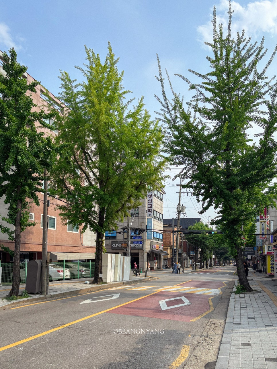 산골짜기쌈밥마을 사진 2