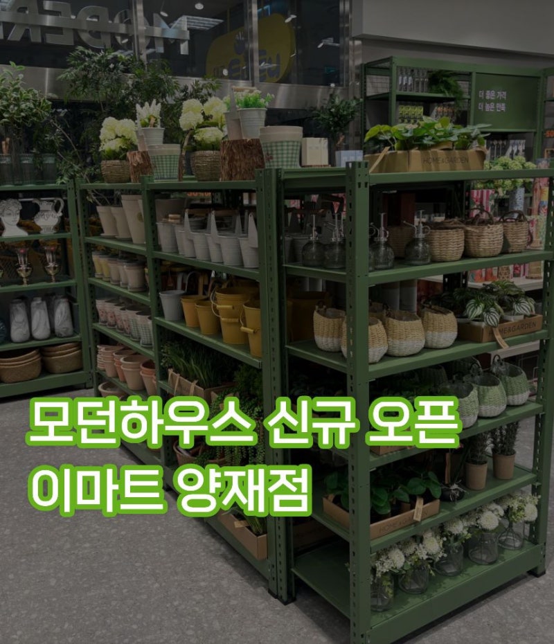 모던하우스 이마트 양재점 / 모던하우스 랙