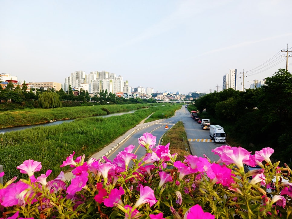 두치산 사진 6