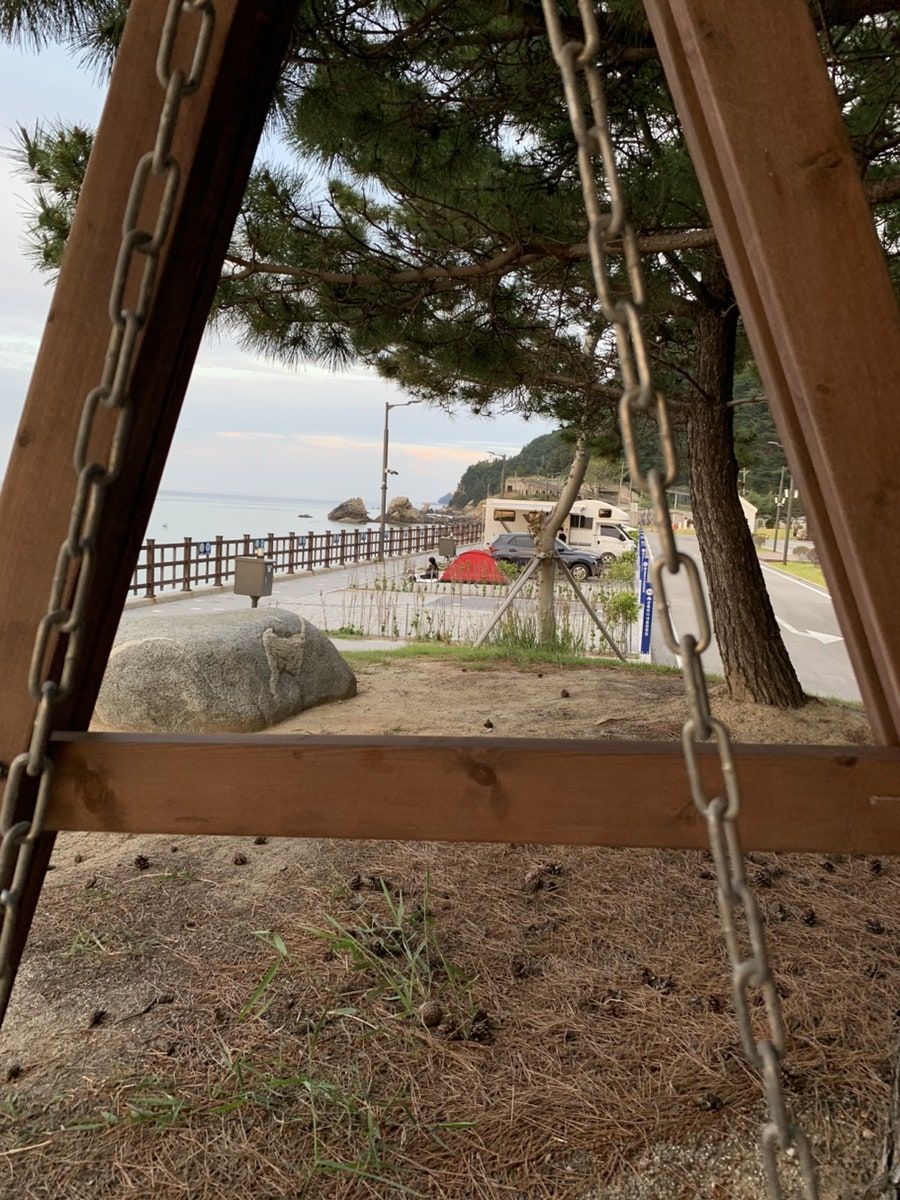 바다내음 사진 5
