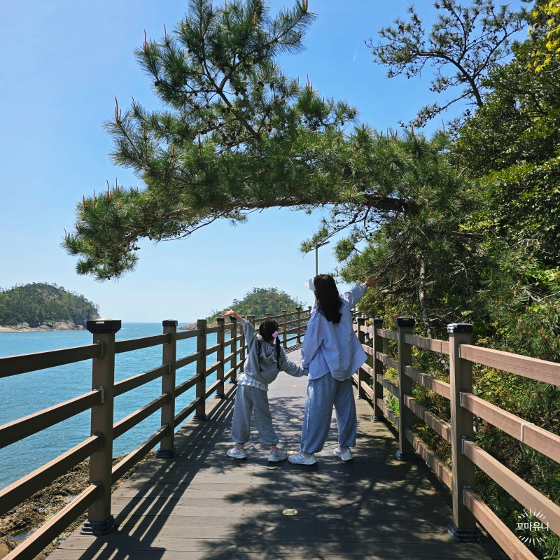 전북 군산 선유도 여행 바다 둘레길 코스부터 옥돌 해변까지 산책