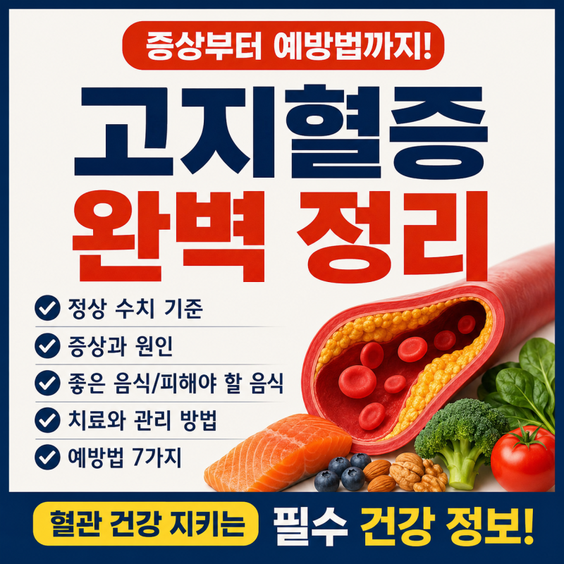 고지혈증 완벽 정리｜증상 없는데 위험한 이유? 정상 수치·좋은 음식·치료법 총정리