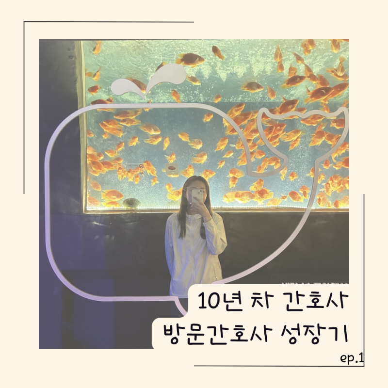10년 차 간호사 방문간호사 도전기 ep.1 방문간호사의 미래, 방문간호사 지원하기