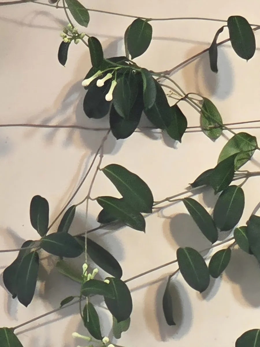 맥켄지커피 충남도청점 사진 4