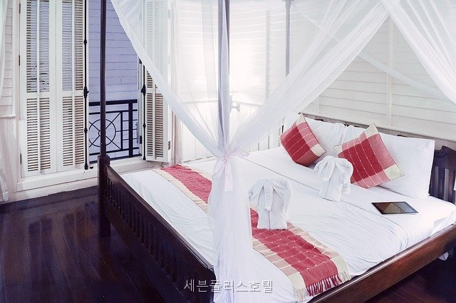 세븐플러스호텔 사진 3