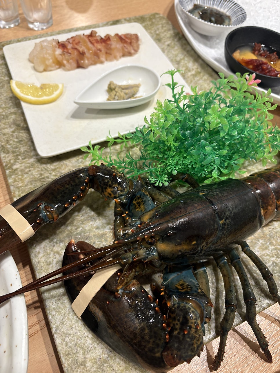 서란 사진 4