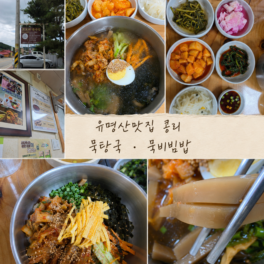콩리 사진 1
