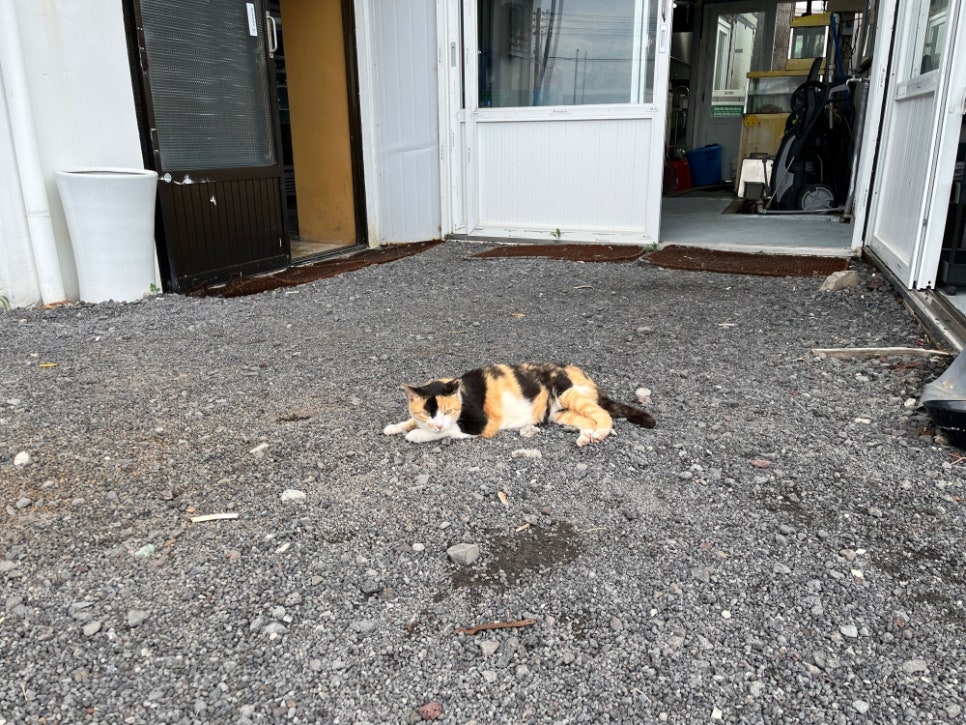 맹기리수산 사진 4