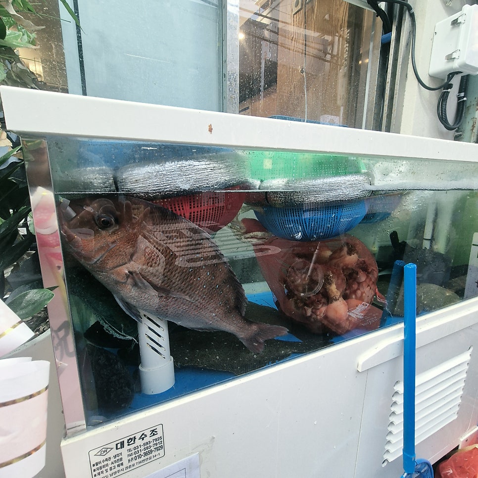 싱싱횟집 사진 5