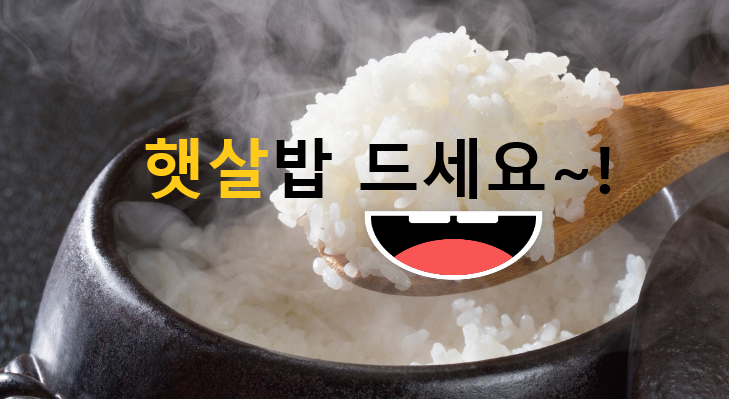 [밥 물양 맞추기]'햇쌀(그해에 새로 난 쌀)'로 밥을 지으실 때 물의 양, 보통쌀, 묵은쌀
