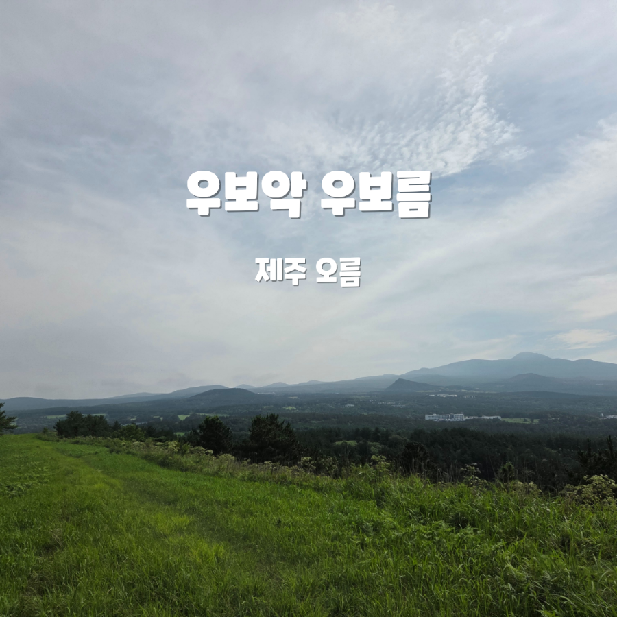 우보악 사진 1