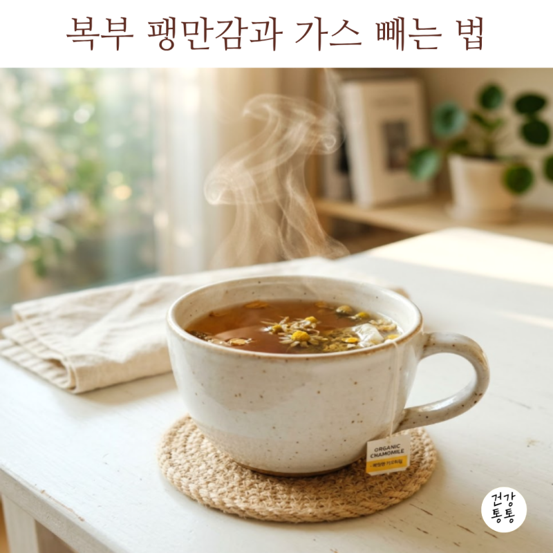 배에 가스 차는 이유와 복부 팽만감 해소하는 운동 및 상비약 가이드