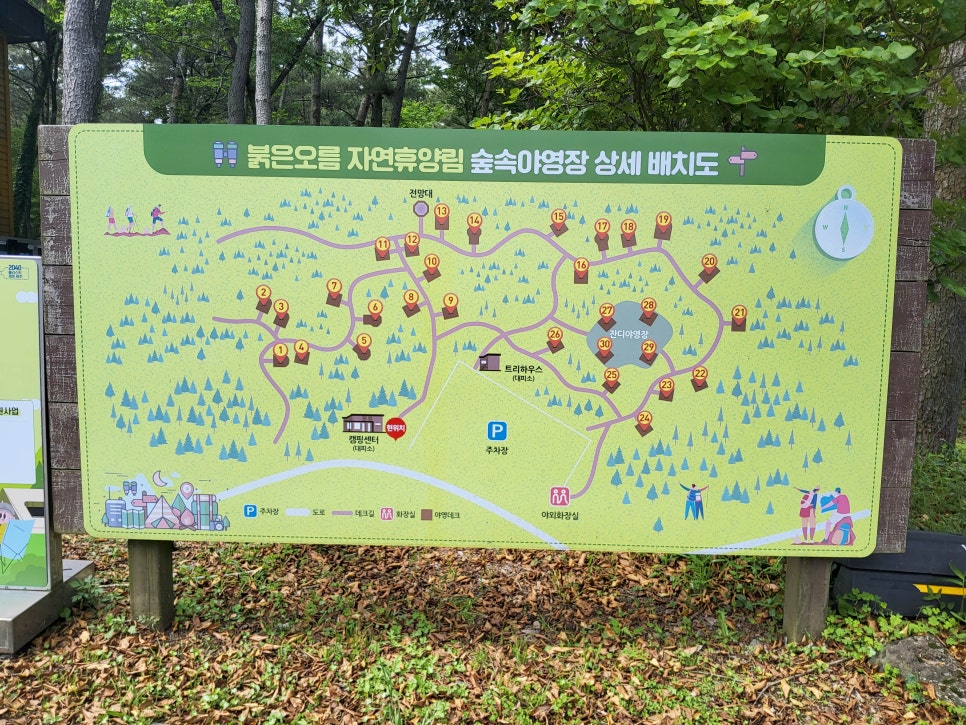 붉은오름자연휴양림 숲속야영장 사진 2