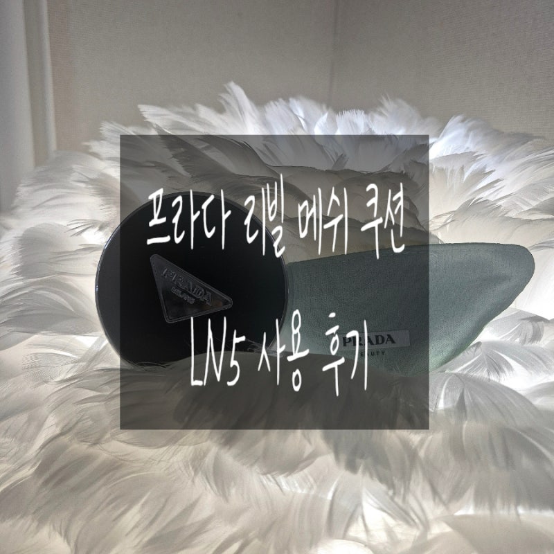 프라다 리빌 메쉬 쿠션 LN5 실사용 솔직후기