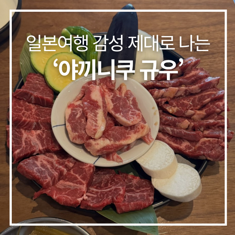 영통역고기집 '야끼니쿠 규우' 제대로 된 일본식 숯불 화로구이 맛집
