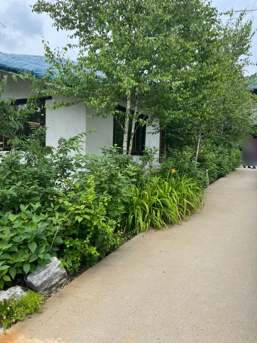 Gacheon2488 photo 4