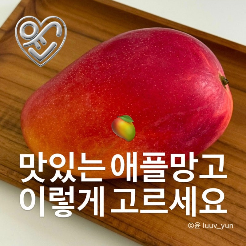지금 애플망고 제철 ㅣ맛있는 애플망고 고르는 방법과 정보