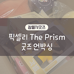 잠뜰TV 픽셀리 The Prism 굿즈 언박싱 후기｜59만원 실화냐;;