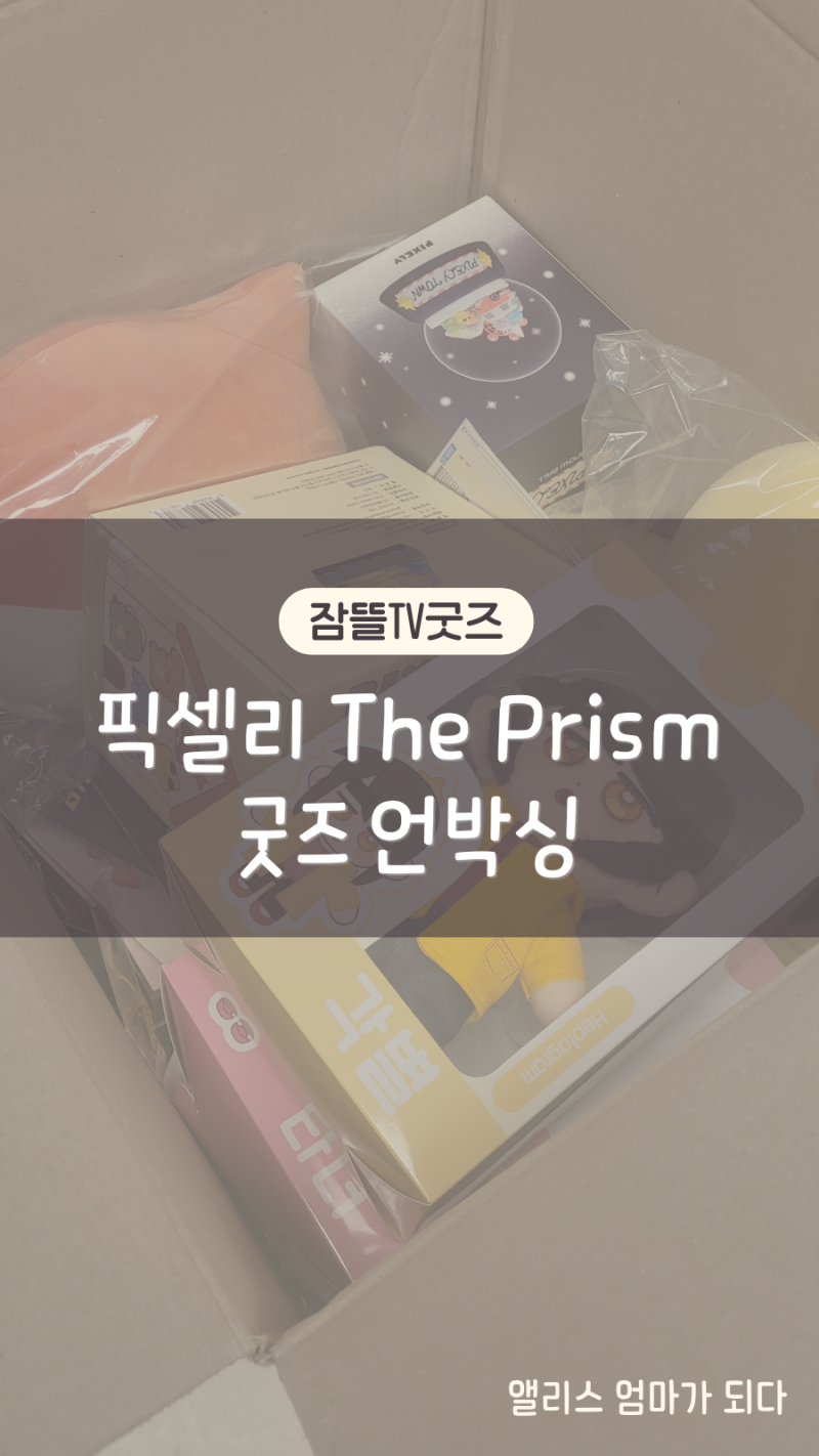 잠뜰TV 픽셀리 The Prism 굿즈 언박싱 후기｜59만원 실화냐;;