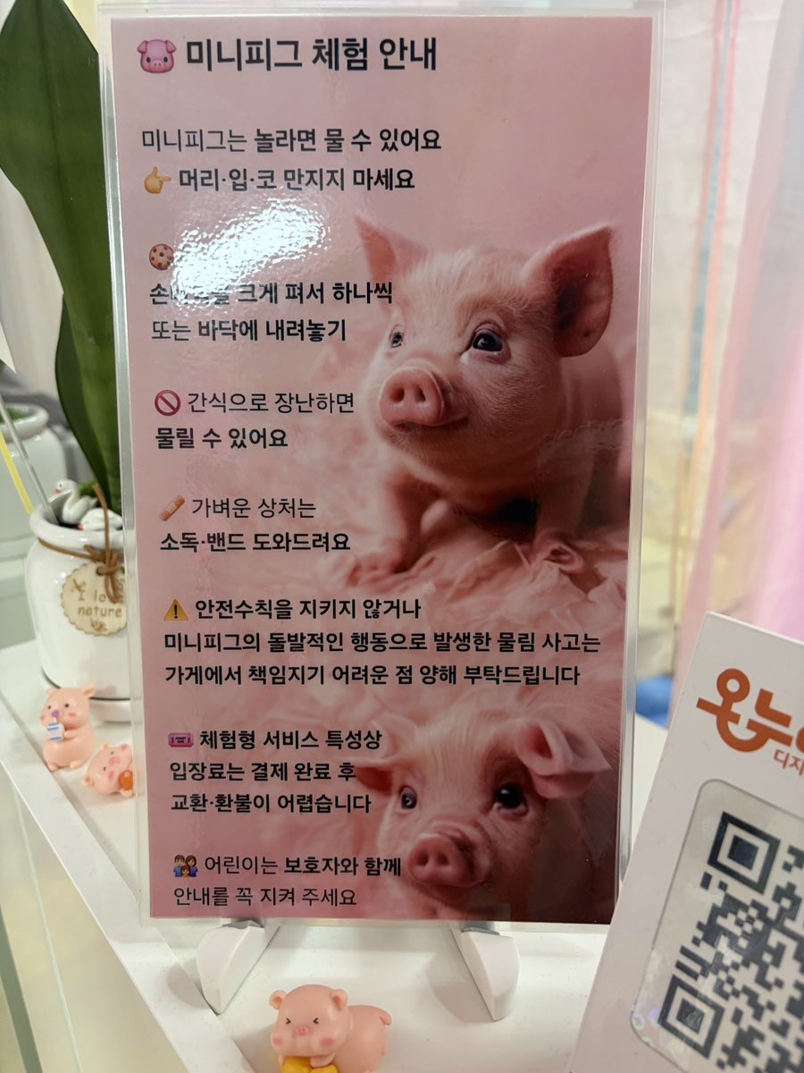 미니피그월드 사진 4