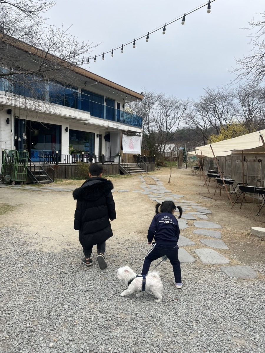 노릇노릇 사진 4