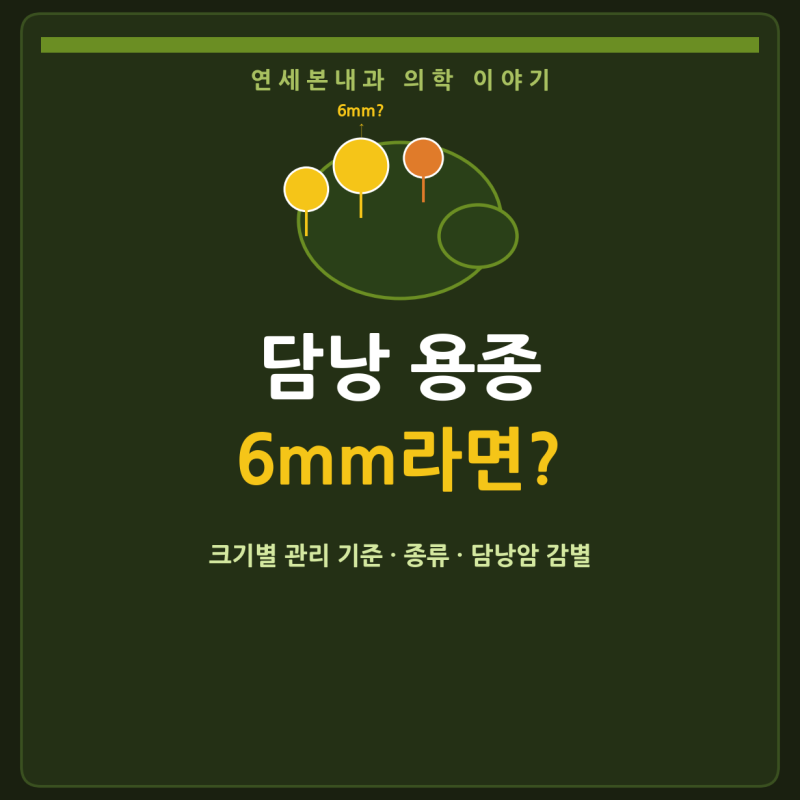 [동탄2내과] 담낭 용종 6mm·8mm·10mm 발견됐다면? — 크기별 관리 기준과 담낭 질환 완전 정리