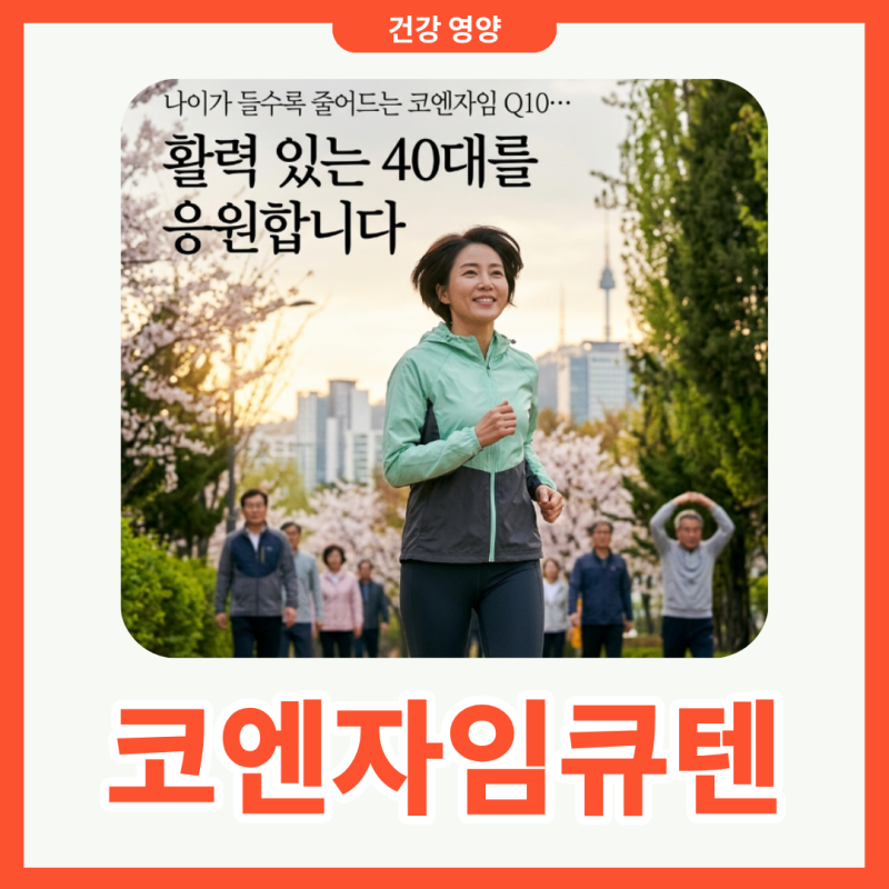 코엔자임큐텐 40대 필수 영양제 효능 복용시간 방법 섭취량까지