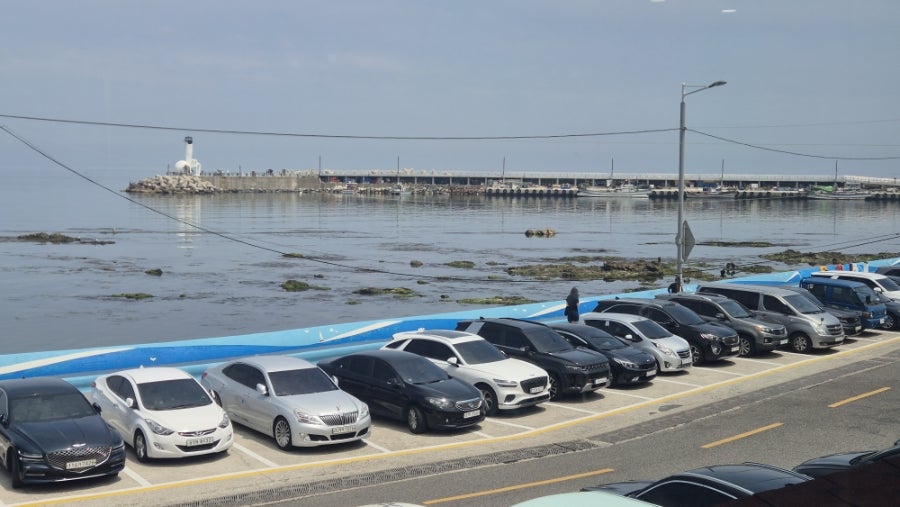 돌샘횟집 사진 2