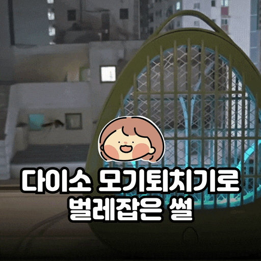 다이소 모기퇴치기 5천원짜리 사서 하루 만에 날파리 잡은 솔직 후기