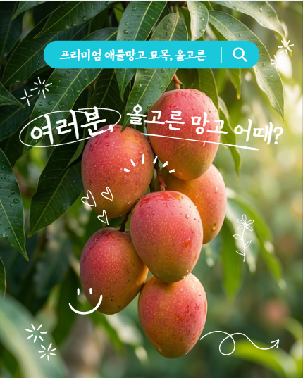 애플망고 키우기 시작할 때 가장 많이 하는 실수 (feat. 프리미엄 묘목 고르는 법)