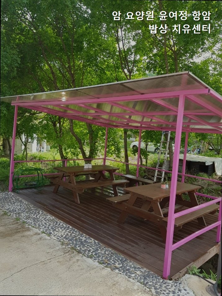윤여정항암밥상치유센터 사진 5