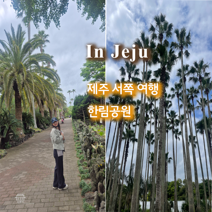 Hallim Park: A Must-Visit Attraction on the West Side of Jeju Island