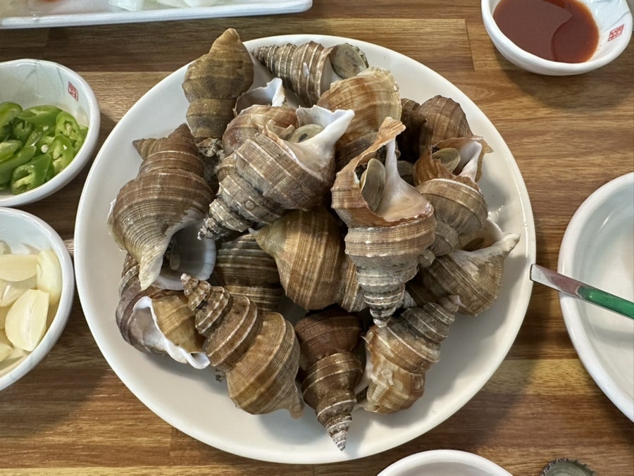 통발 사진 4