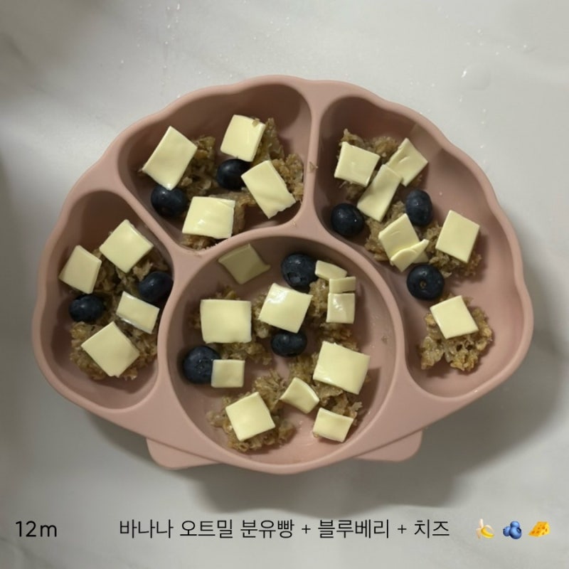 바나나 오트밀 분유빵+블루베리+치즈_12개월 아침 유아식