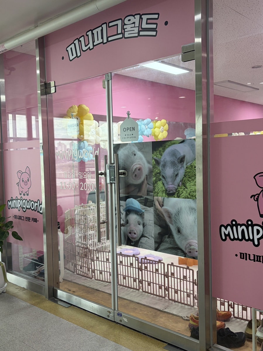 미니피그월드 사진 2