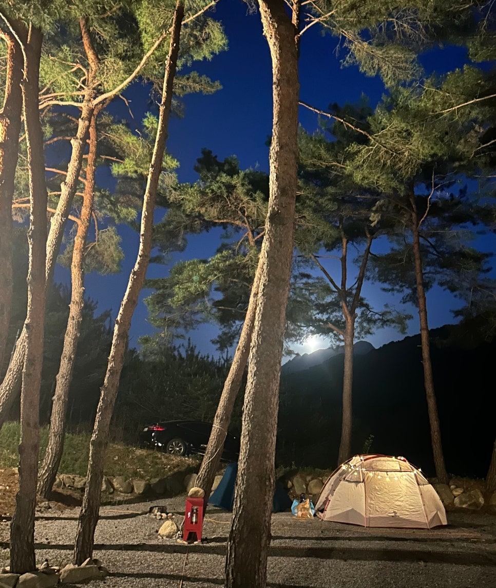 솔밭야영장 사진 2
