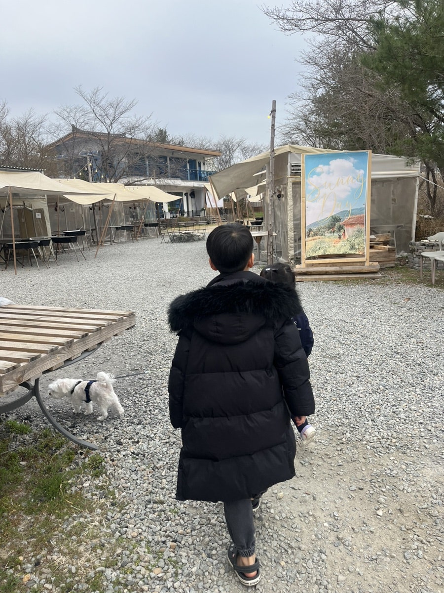 노릇노릇 사진 2