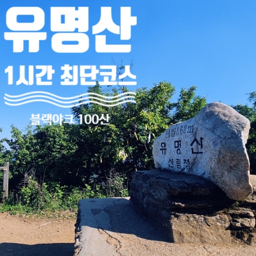 정상까지 1시간 이내 최단 코스 및 자연휴양림으로 가는 유명산 등산 코스