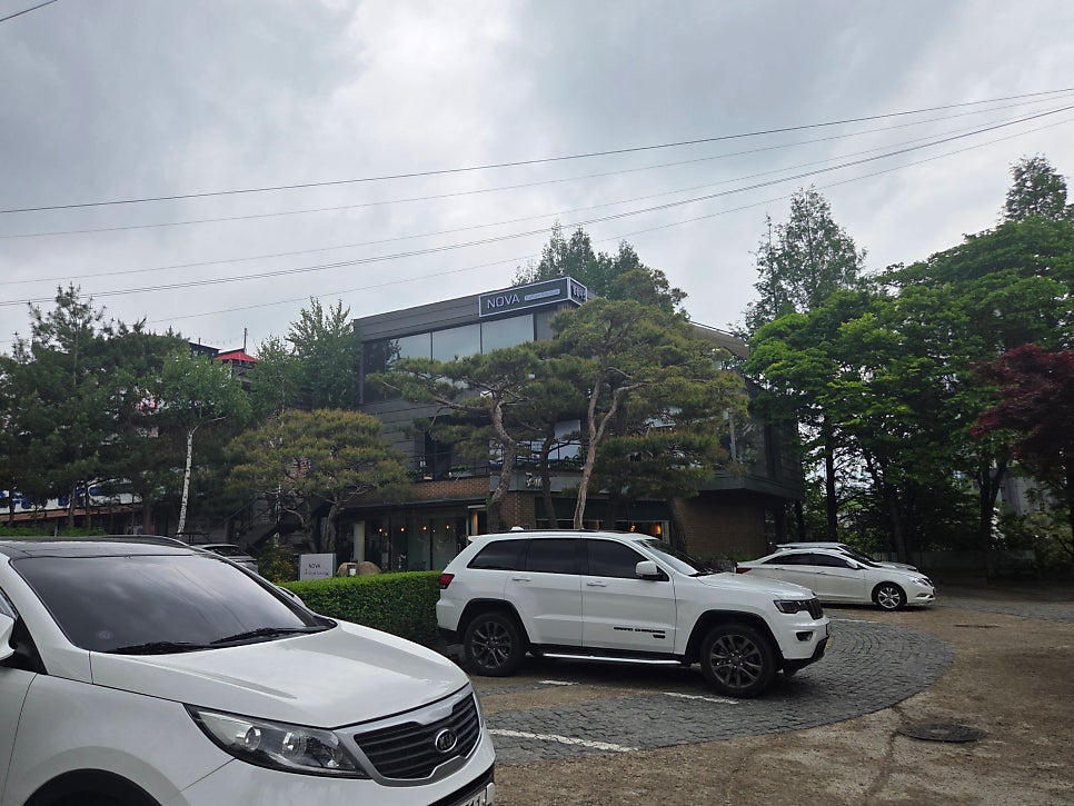 피노 사진 4