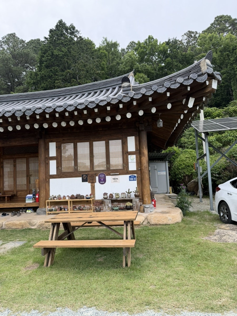 해마루힐링숲 사진 4