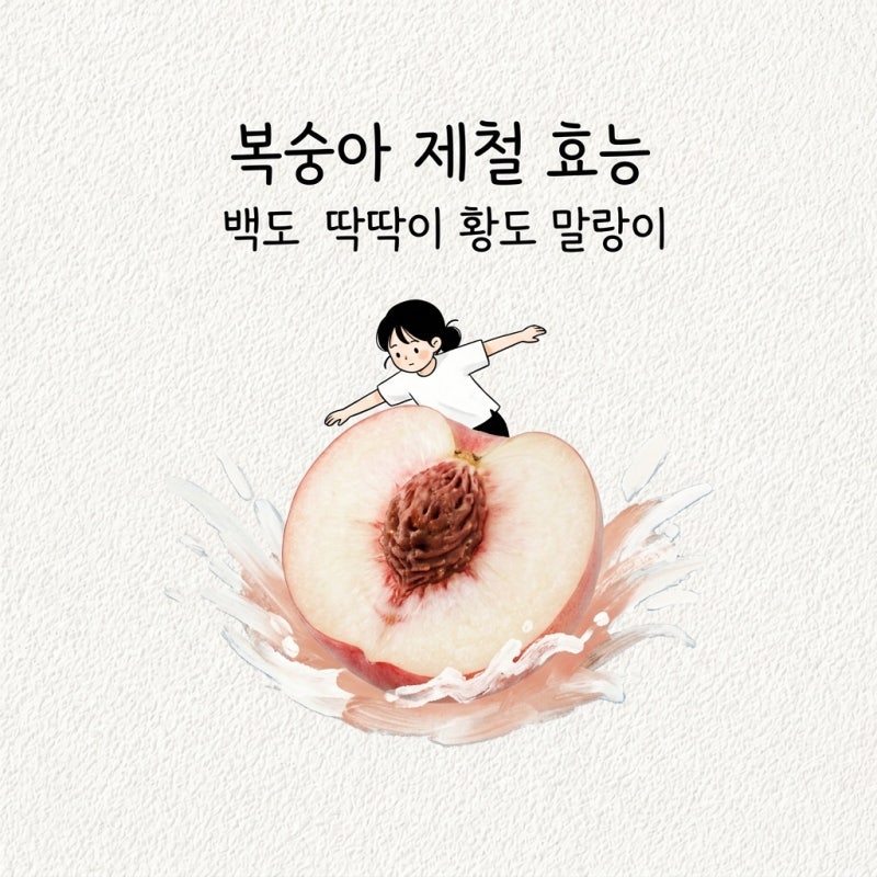 복숭아 제철 효능 종류 백도 딱딱이 털복숭아 황도 말랑이복숭아