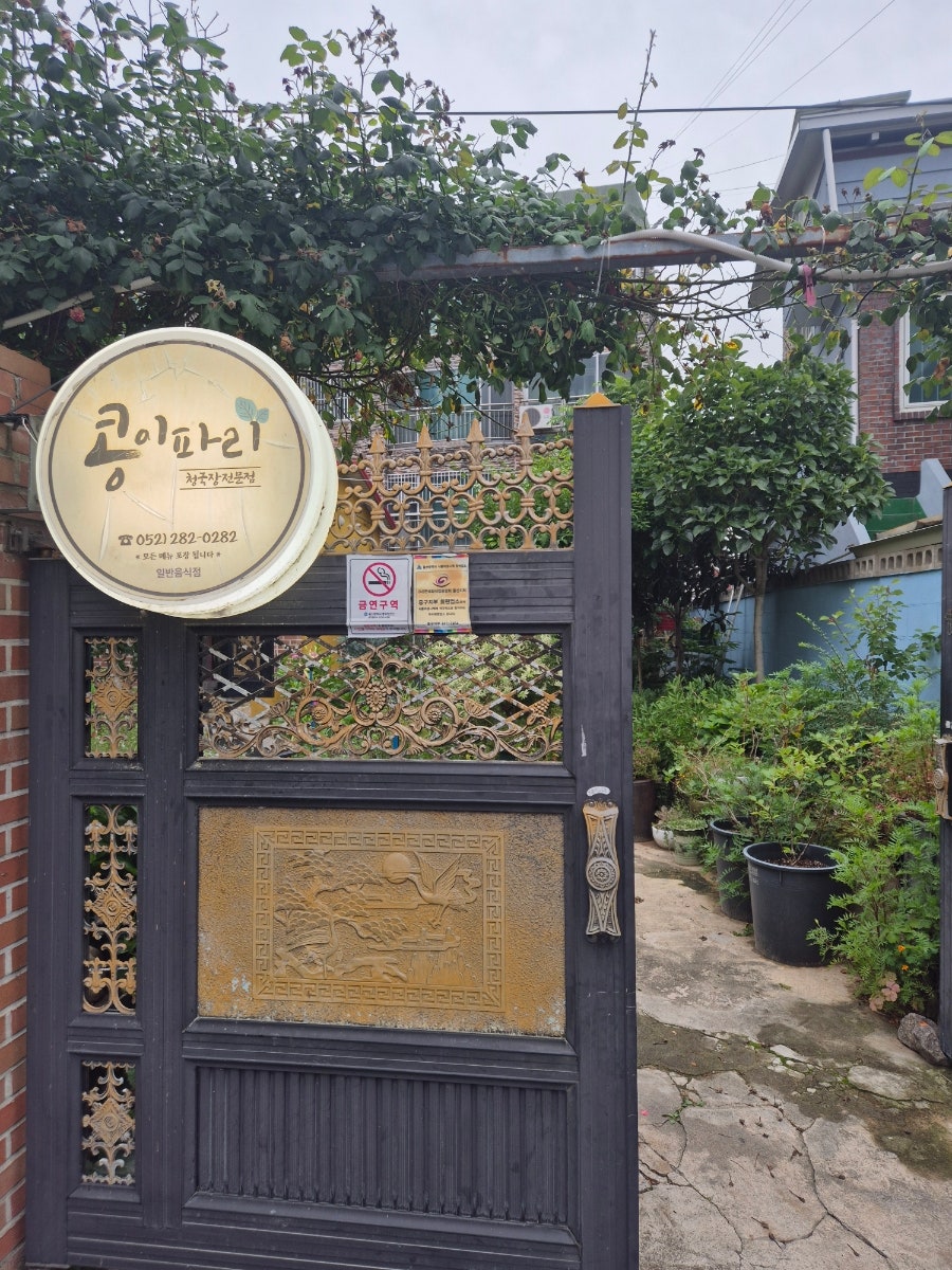 콩이파리 사진 1